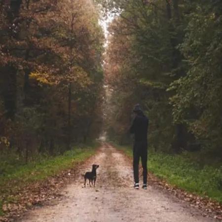 Nyaraló 4 Person In *