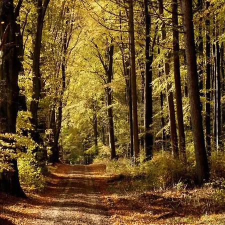 4 Person In Σπίτι διακοπών