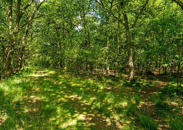 Σπίτι διακοπών 4 Person In