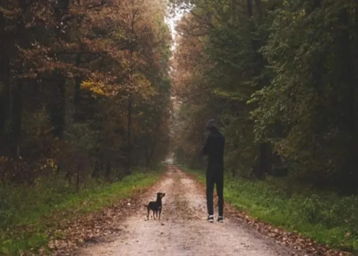 Σπίτι διακοπών 4 Person In *