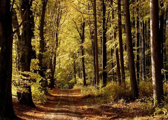 4 Person In Σπίτι διακοπών